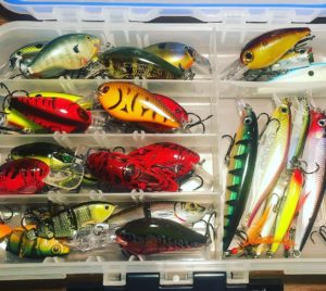 Lure color choice and more