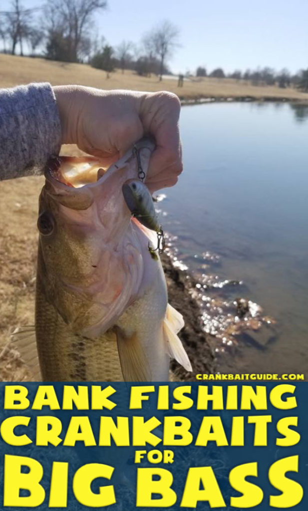 Bank fishing crankbaits for big bass